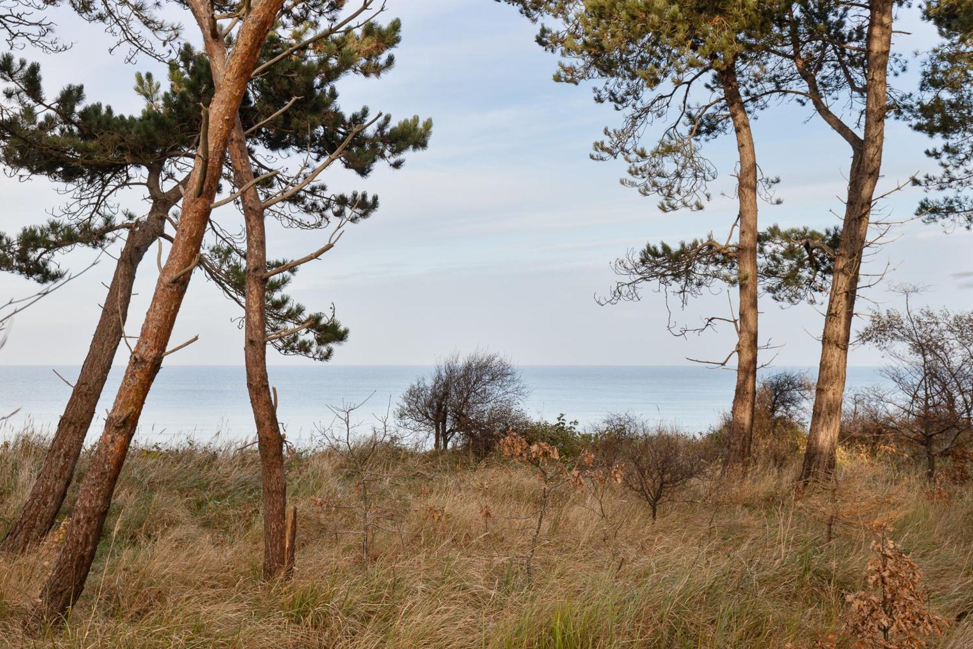 Let'S Sea - 2 Bedroom - Premium Baltic Apartment With Front Sea View Garden And Spa Access Gąski Exteriör bild